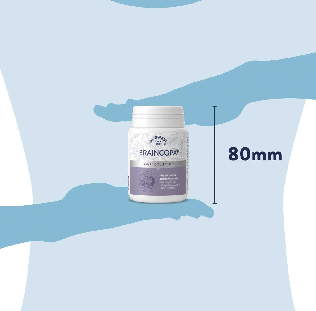 Dorwest BrainCopa Tablets For Dogs & Cats - 100