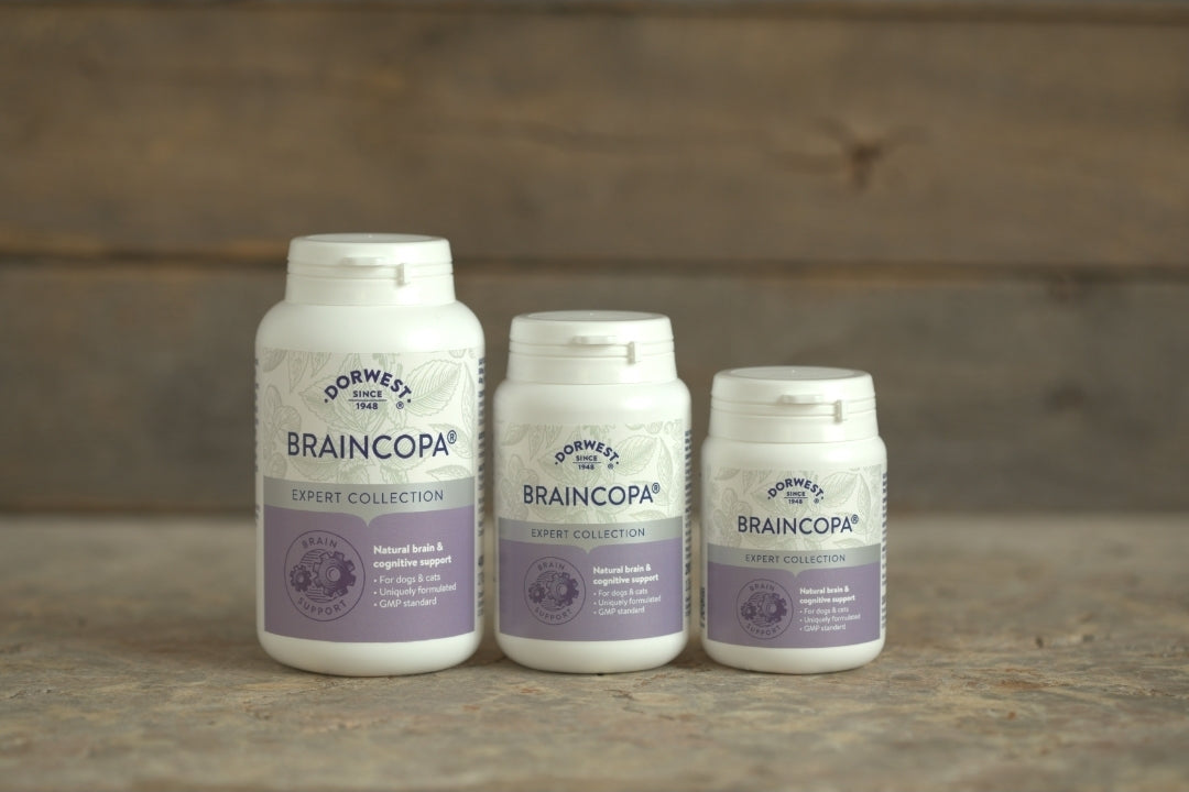 Dorwest BrainCopa Tablets For Dogs & Cats - 100