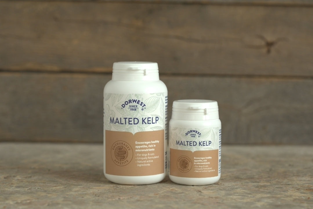 Dorwest Malted Kelp Tablets For Dogs And Cats - 100