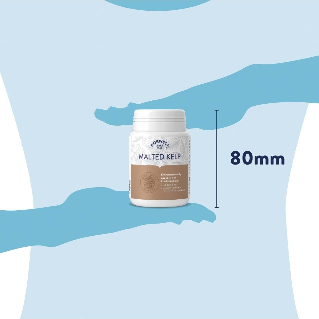 Dorwest Malted Kelp Tablets For Dogs And Cats - 100