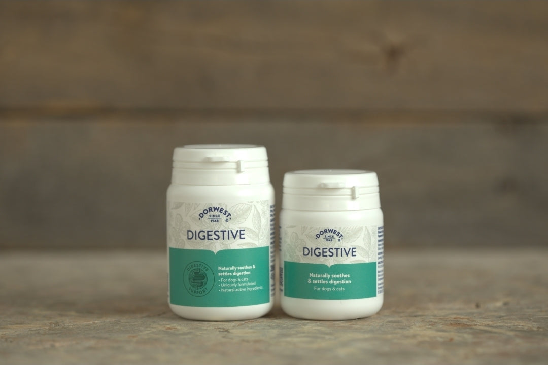 Dorwest Digestive Tablets For Dogs And Cats - 100