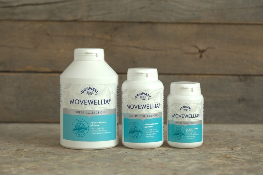 Dorwest MoveWellia Tablets For Dogs And Cats