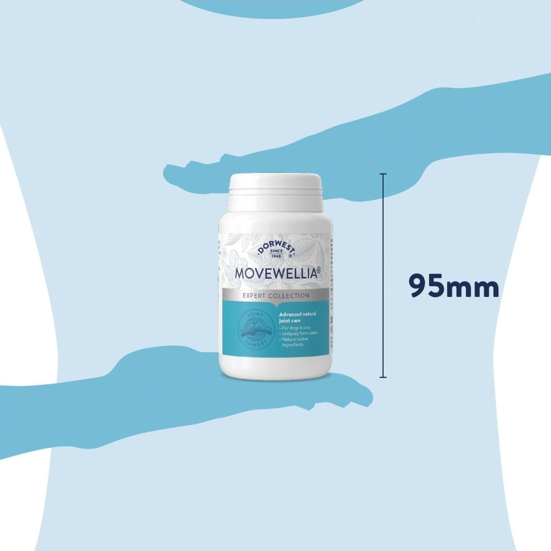 Dorwest MoveWellia Tablets For Dogs And Cats