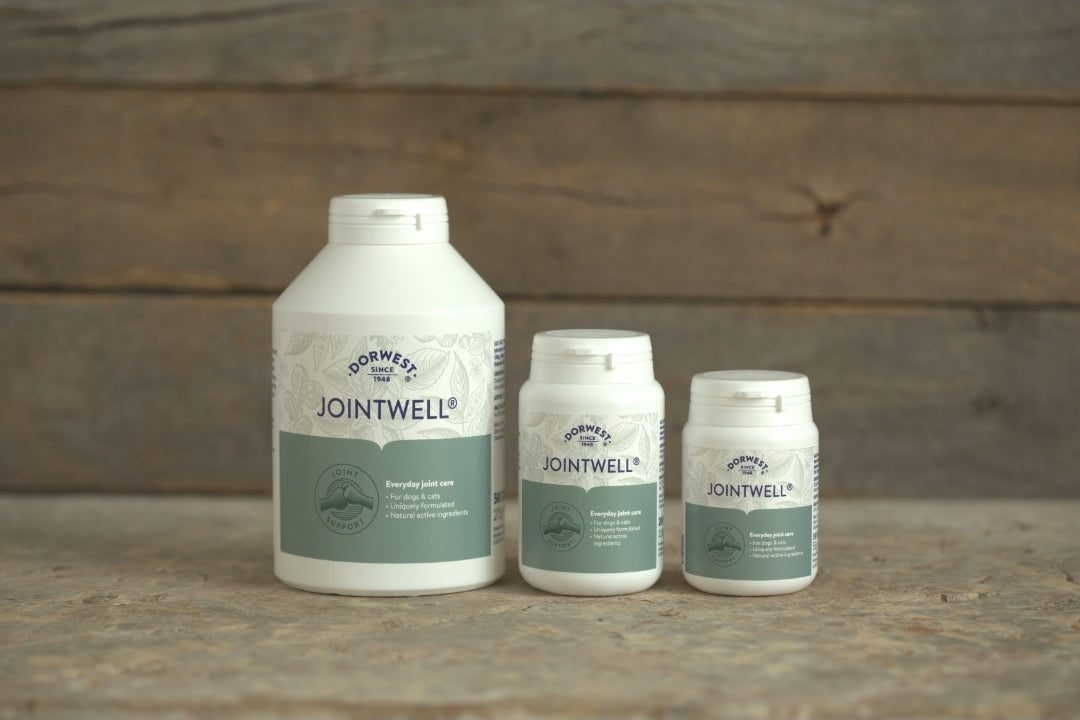 Dorwest JointWell Tablets For Dogs And Cats - 100