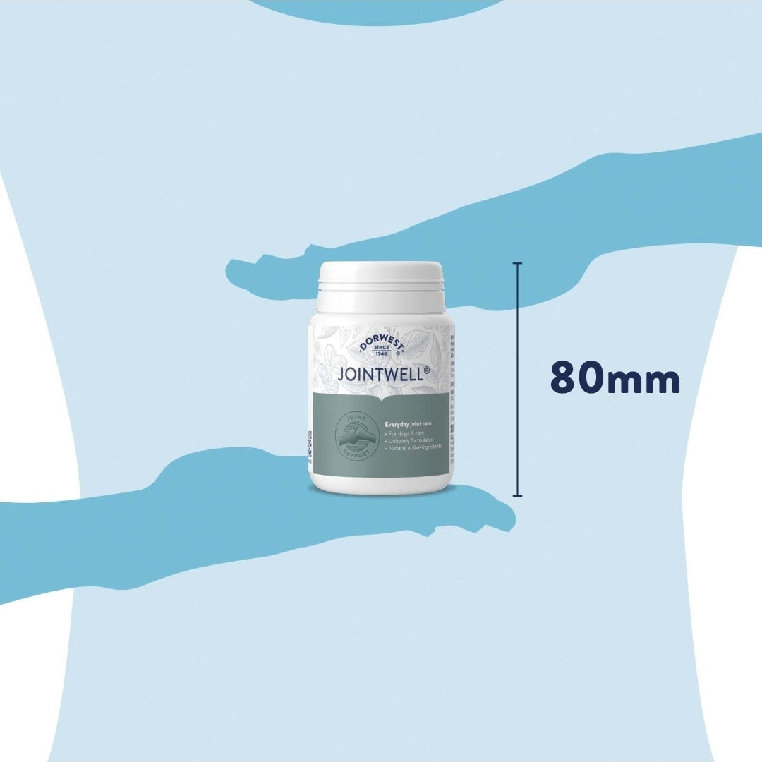 Dorwest JointWell Tablets For Dogs And Cats - 100