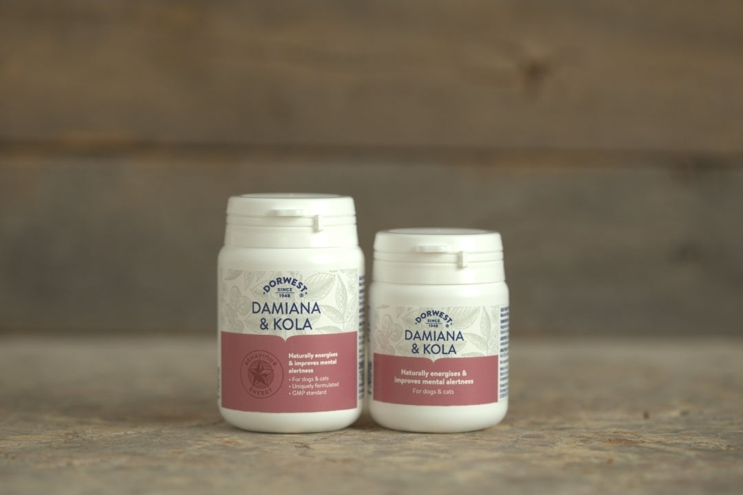 Dorwest Domiana & Kola Tablets For Dogs And Cats - 100