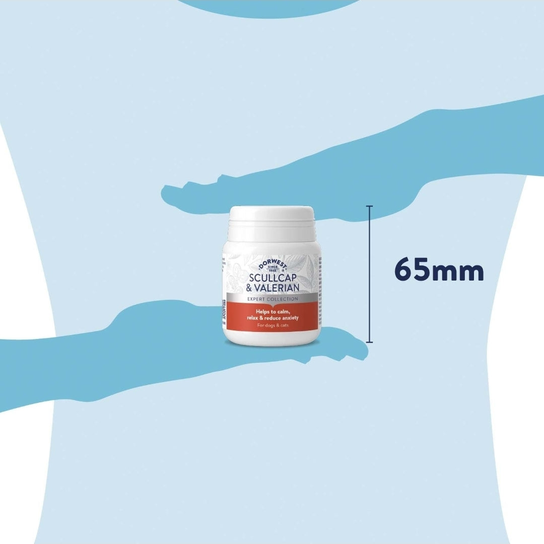 Dorwest Scullcap & Valerian Tablets For Dogs And Cats - 100