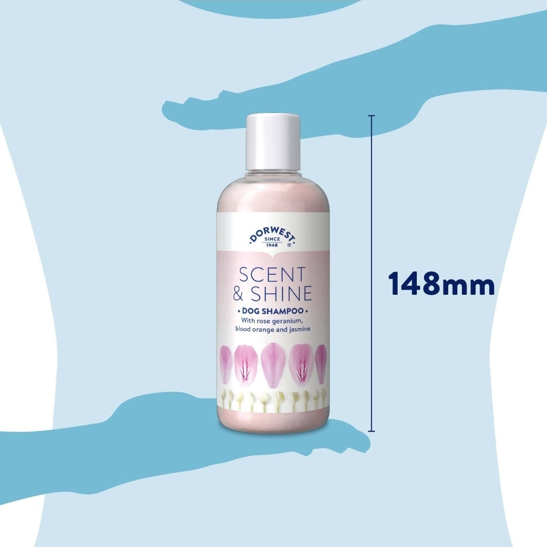 Dorwest Scent & Shine Shampoo For Dogs - 250ml