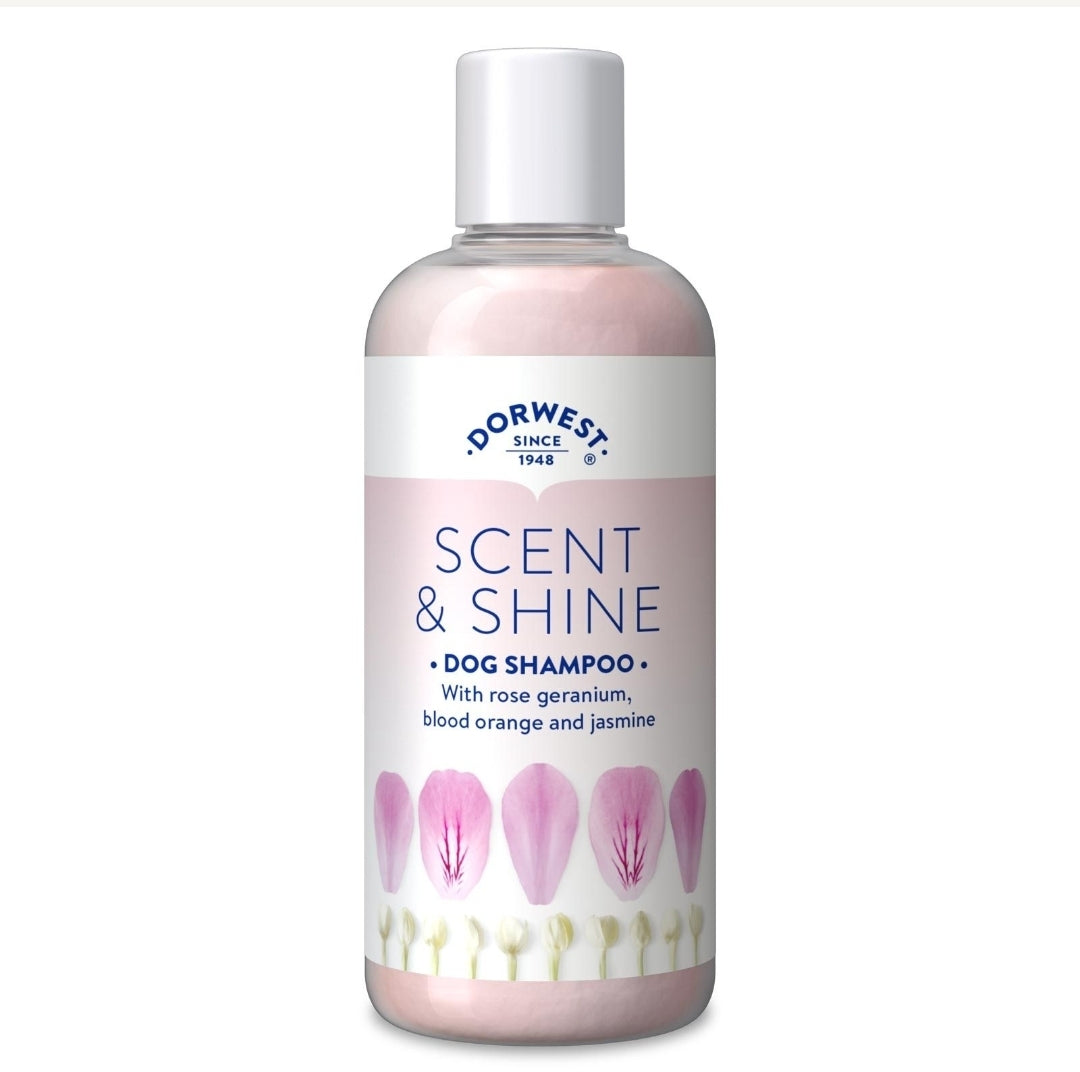 Dorwest Scent & Shine Shampoo For Dogs - 250ml