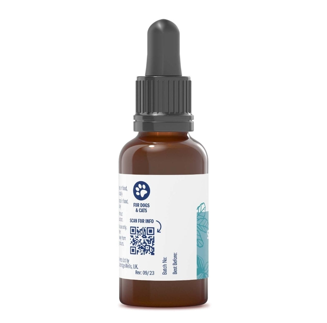 Symphytum 15C - 15ml Liquid