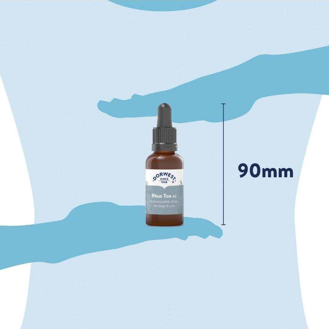 Rhus Tox 6C - 15ml Liquid