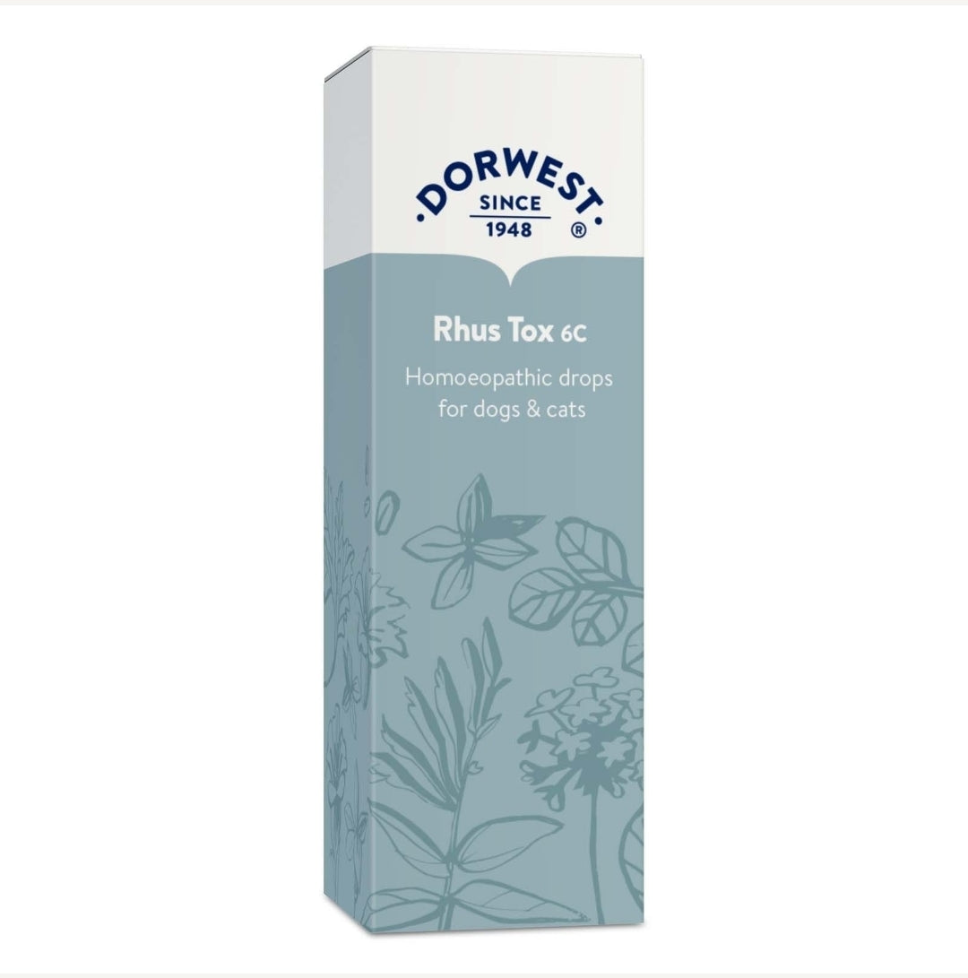 Rhus Tox 6C - 15ml Liquid