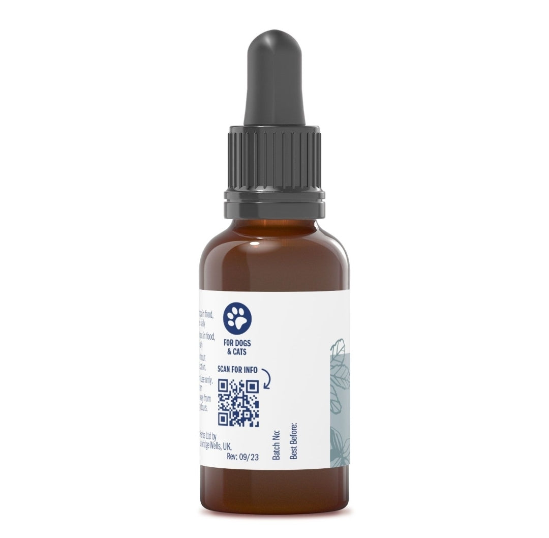 Rhus Tox 6C - 15ml Liquid