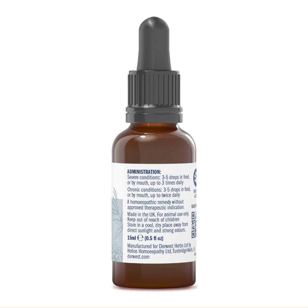 Rhus Tox 6C - 15ml Liquid