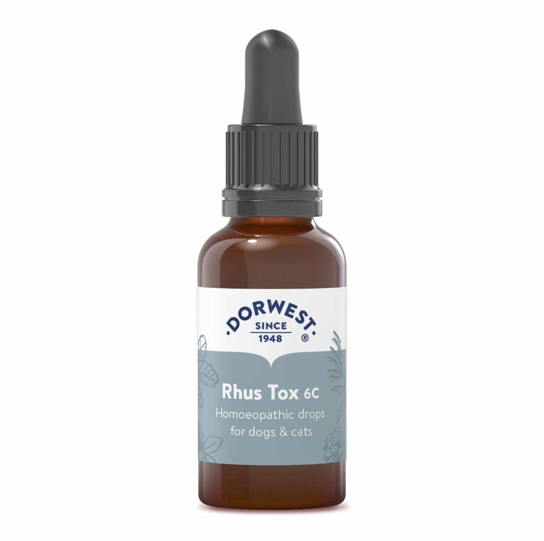 Rhus Tox 6C - 15ml Liquid