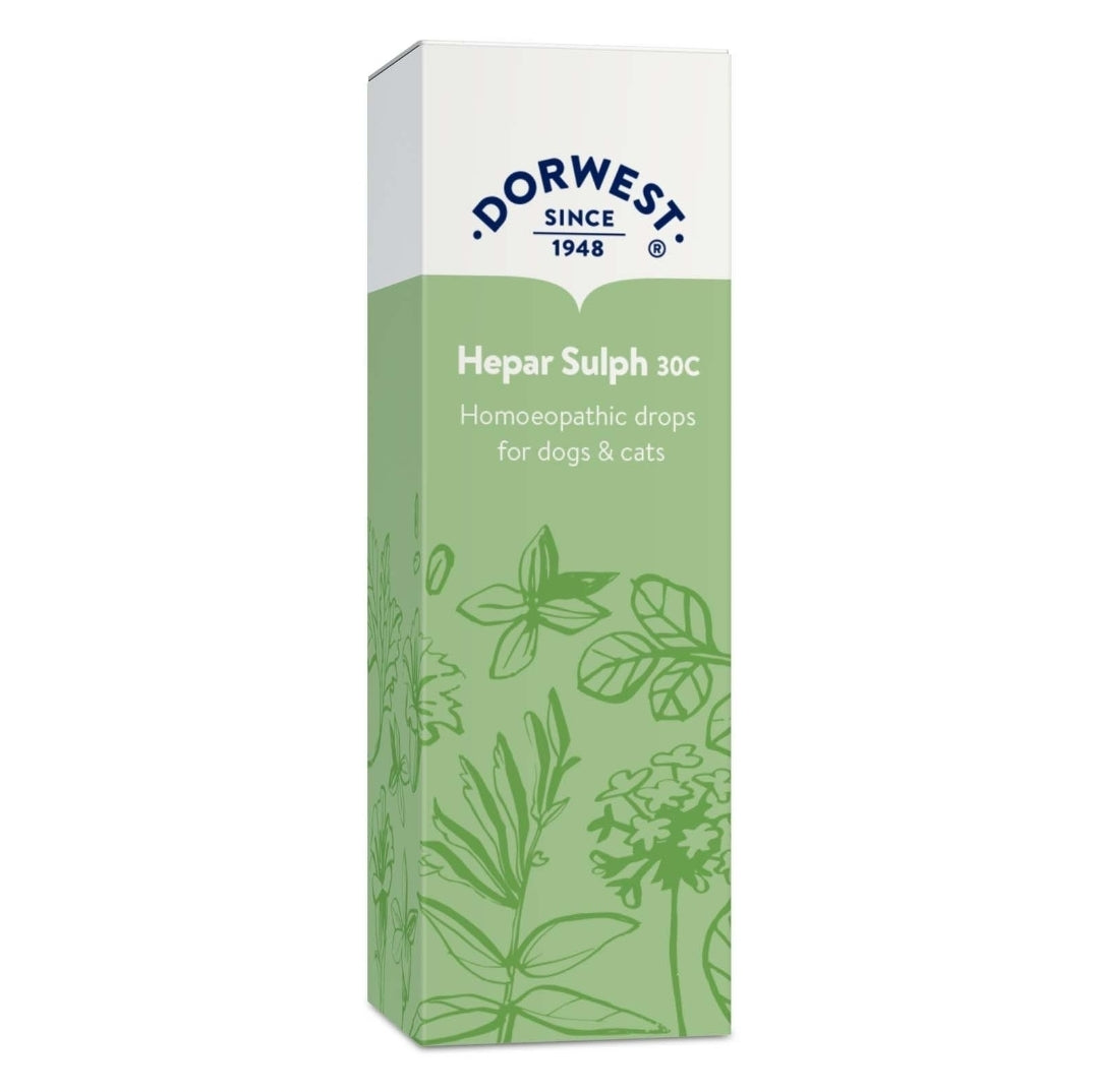 Hepar Sulph 30C - 15ml Liquid