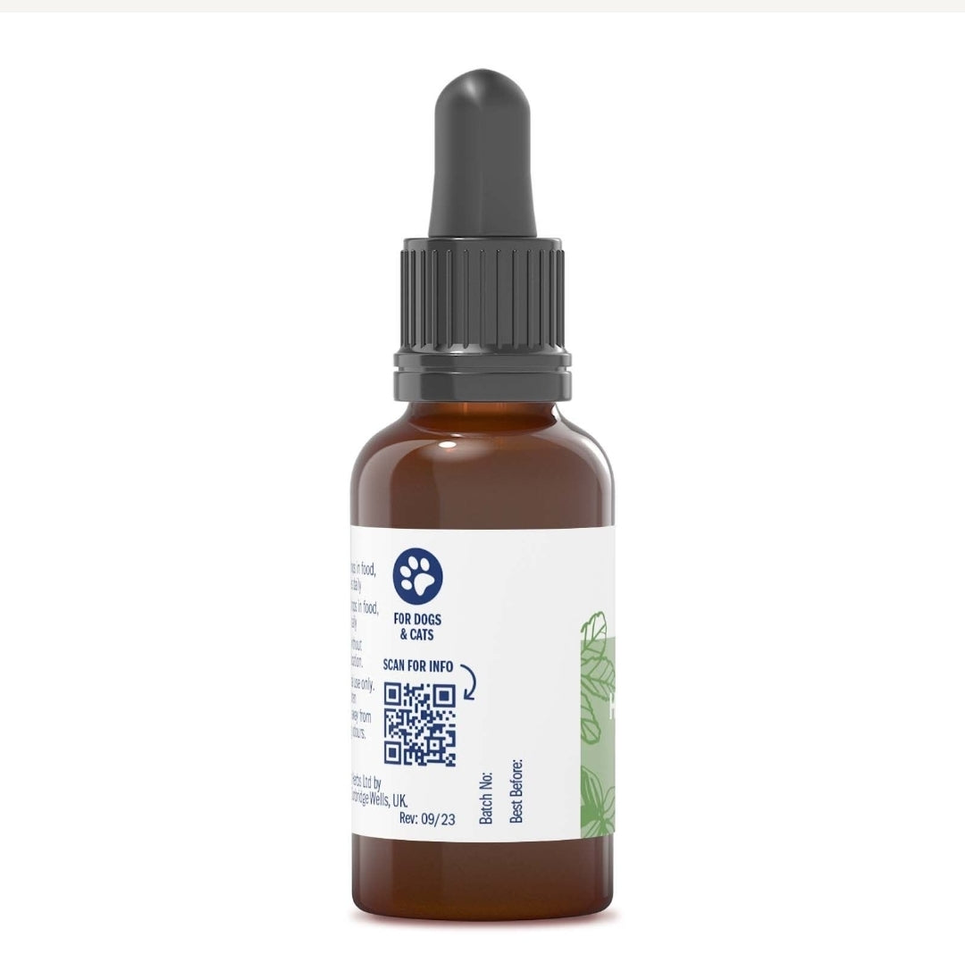 Hepar Sulph 30C - 15ml Liquid