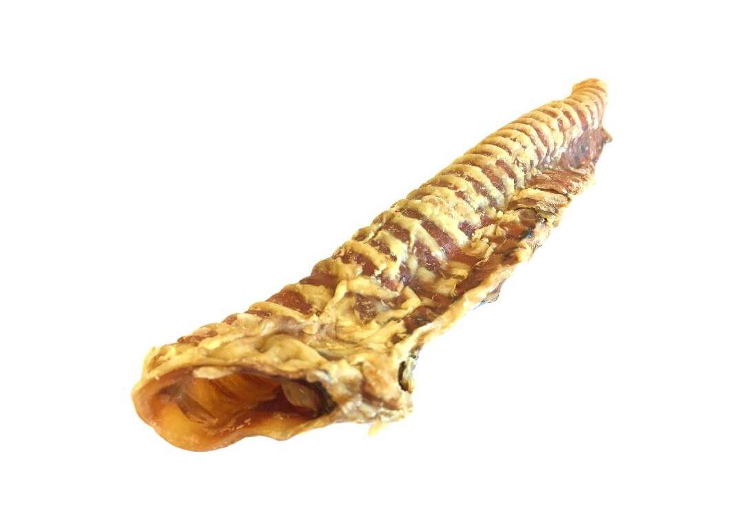 Buffalo Trachea Small Pieces 100g bags