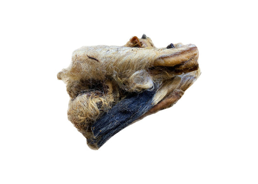 Lamb head skin with fur