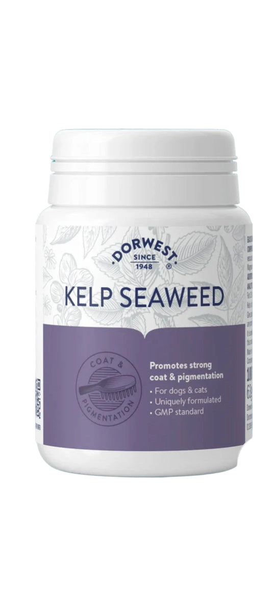 Dorwest Kelp seaweed