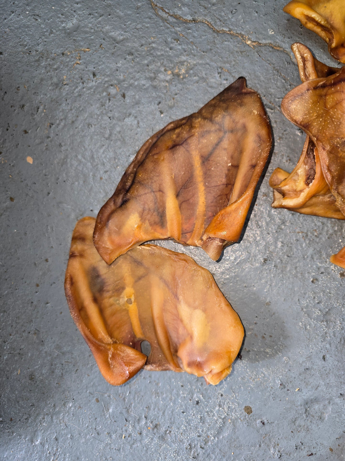 Anco pigs ears x10
