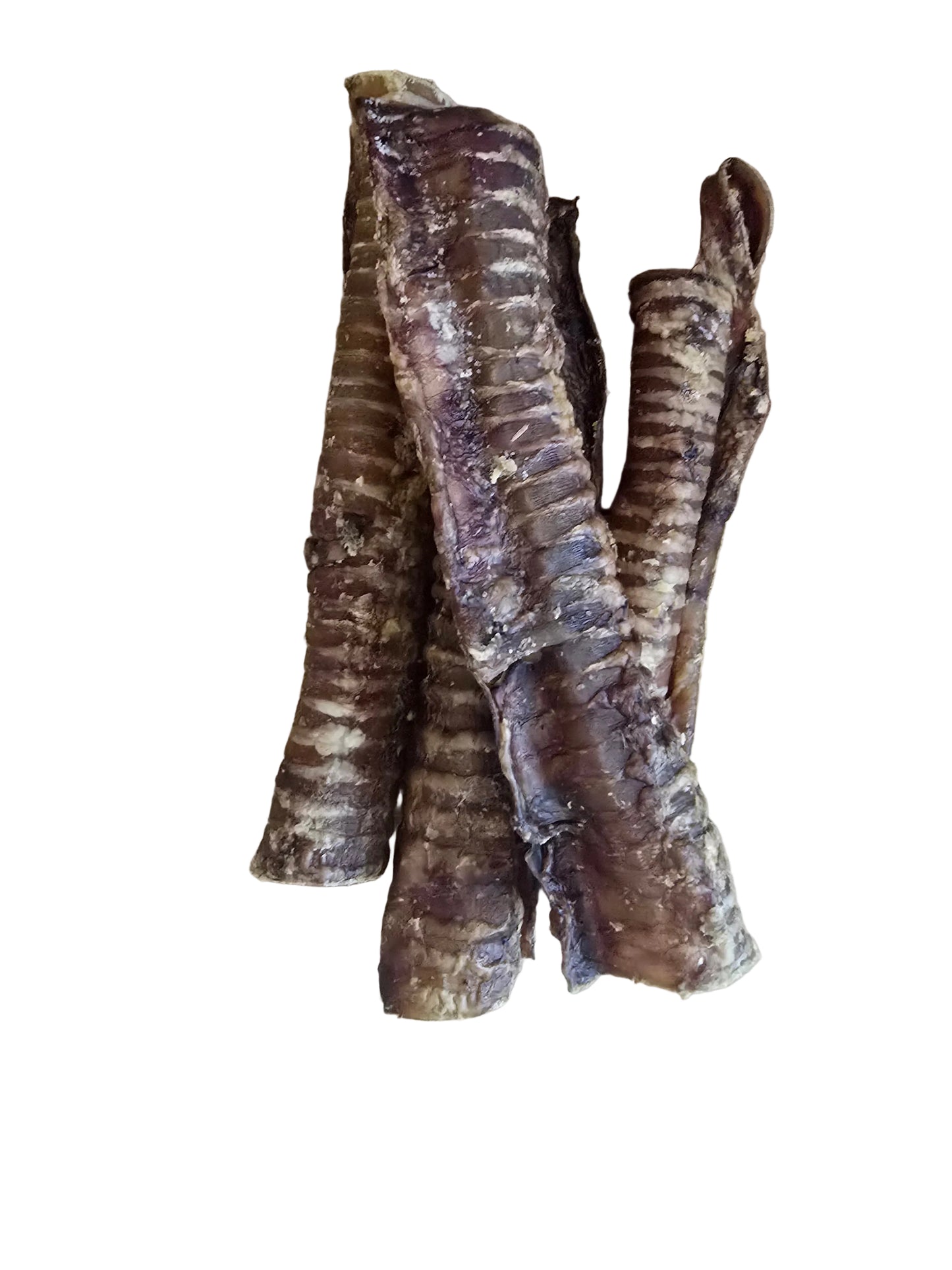 Beef Trachea