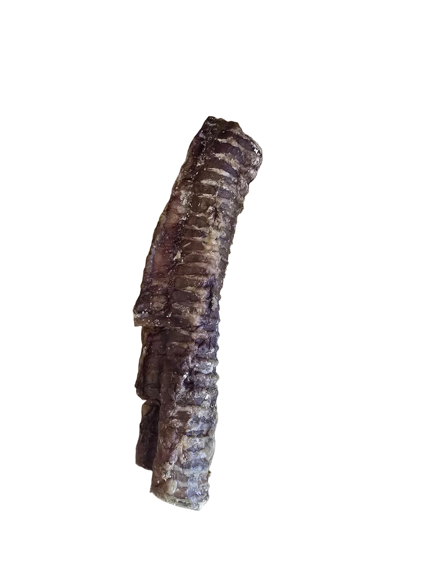 Beef Trachea