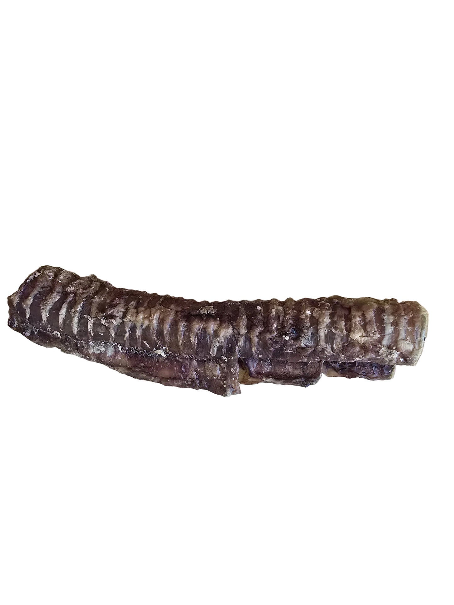 Beef Trachea