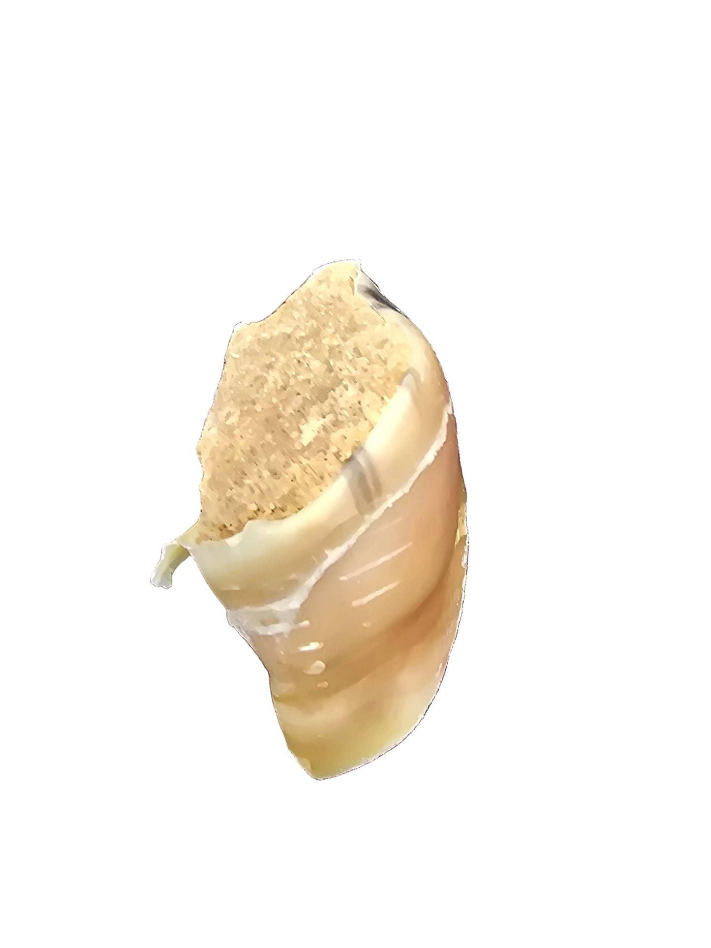 ANCO filled hoof