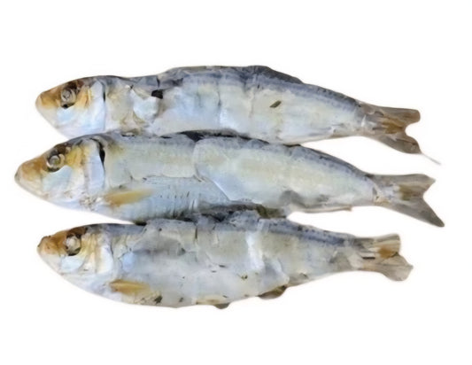 Sardines 200g ( xl sprats )