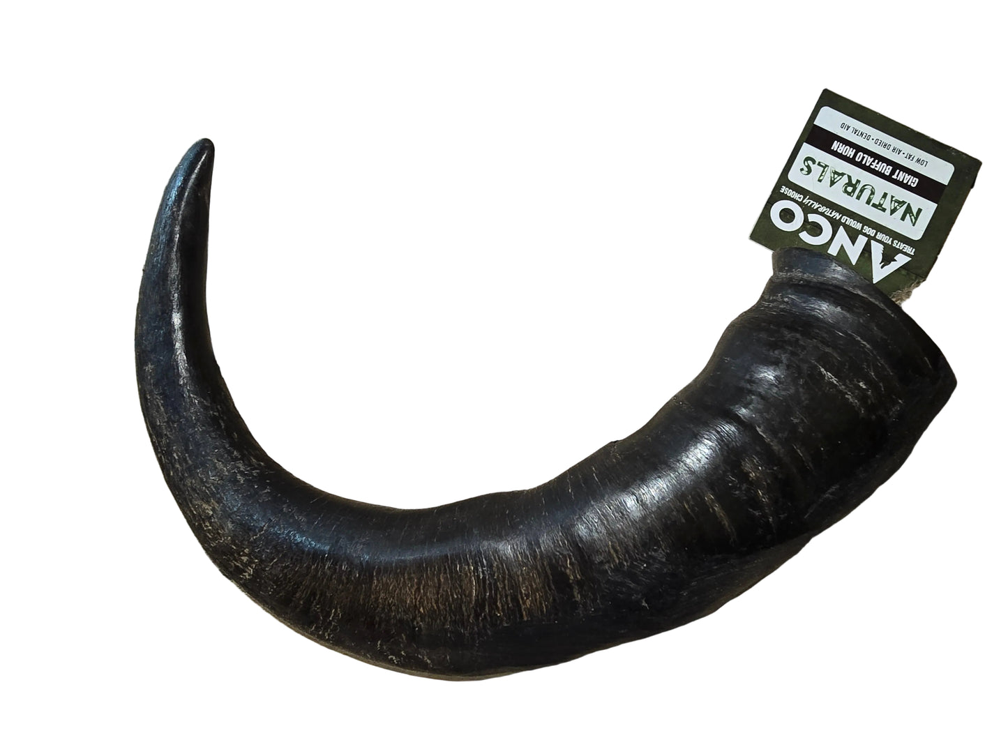 ANCO Giant Buffalo horn