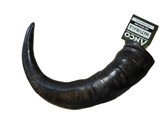 ANCO Giant Buffalo horn