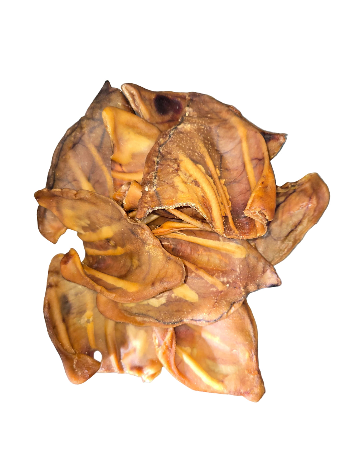 Anco pigs ears x10