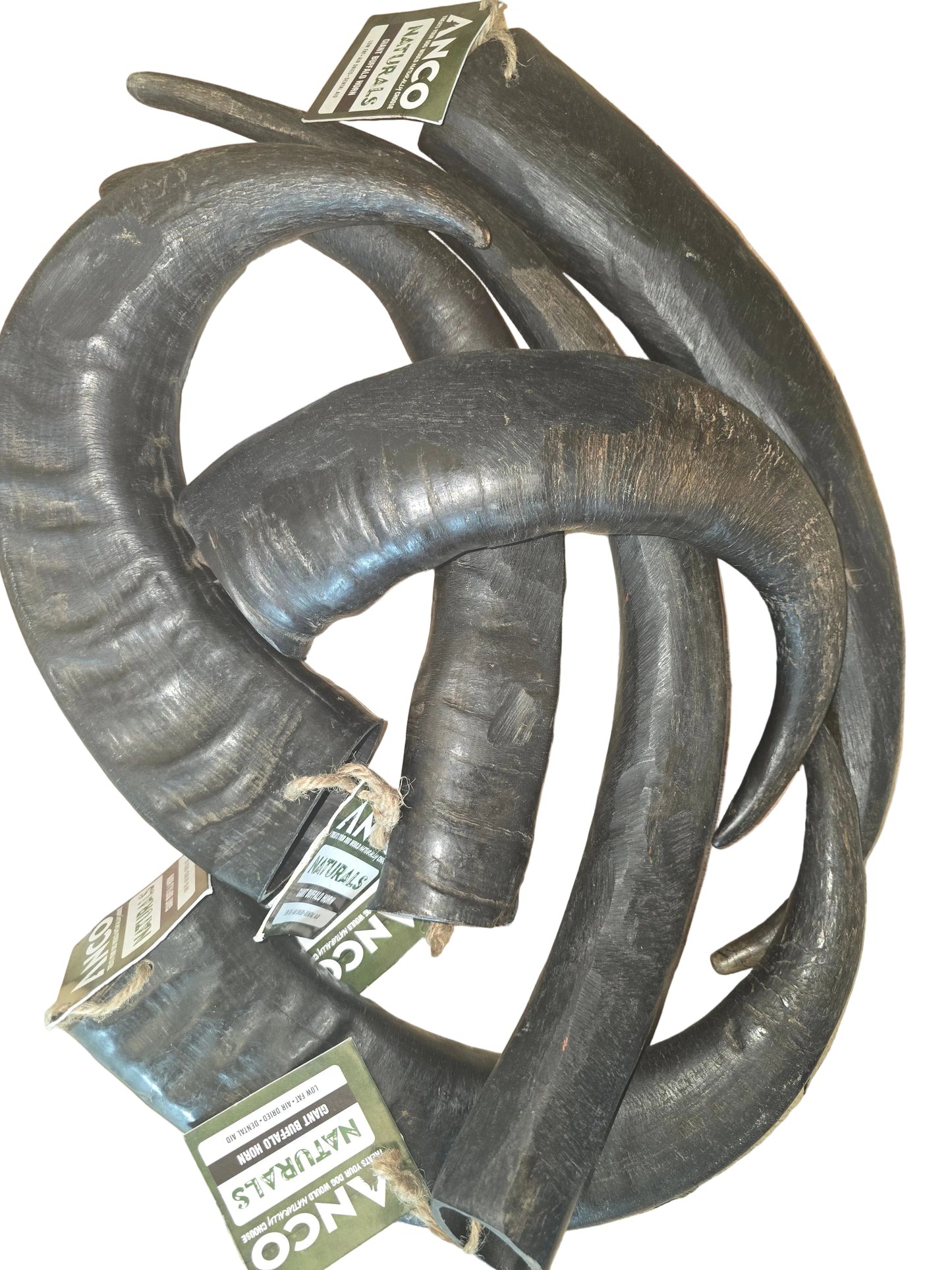 ANCO Giant Buffalo horn