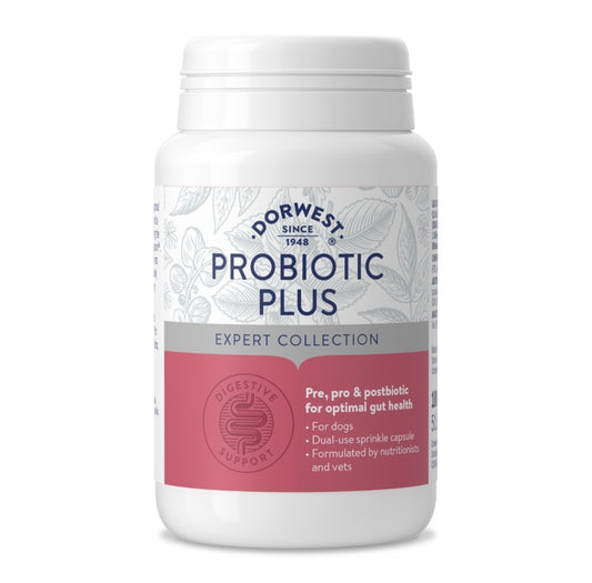 Dorwest Probiotic Plus For Dogs - 100