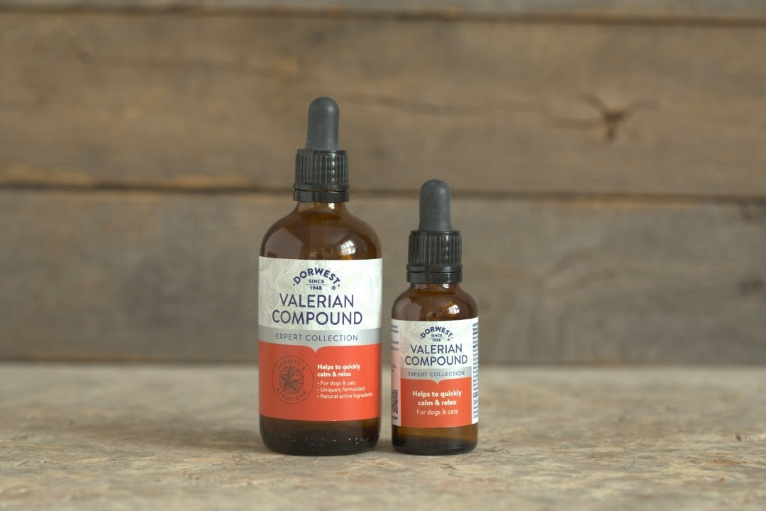 Dorwest Valerian Compound For Dogs And Cats - 30ml