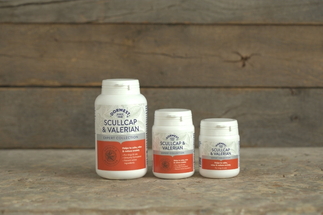 Dorwest Scullcap & Valerian Tablets For Dogs And Cats - 100