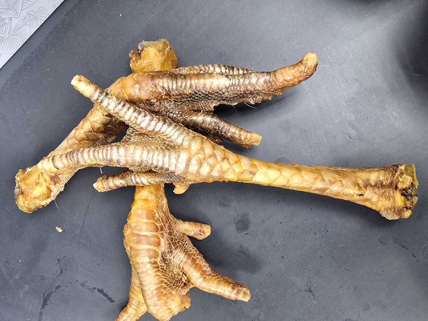 CHRISTMAS DINNER FOR DOGS