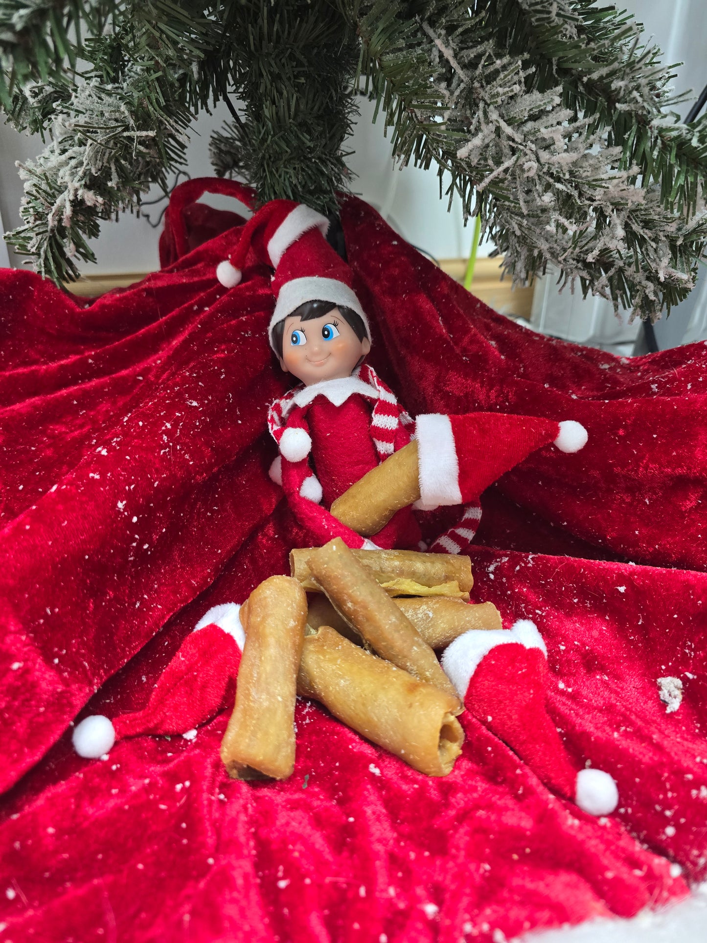 CHRISTMAS DINNER FOR DOGS